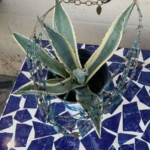 Cold water creek necklace